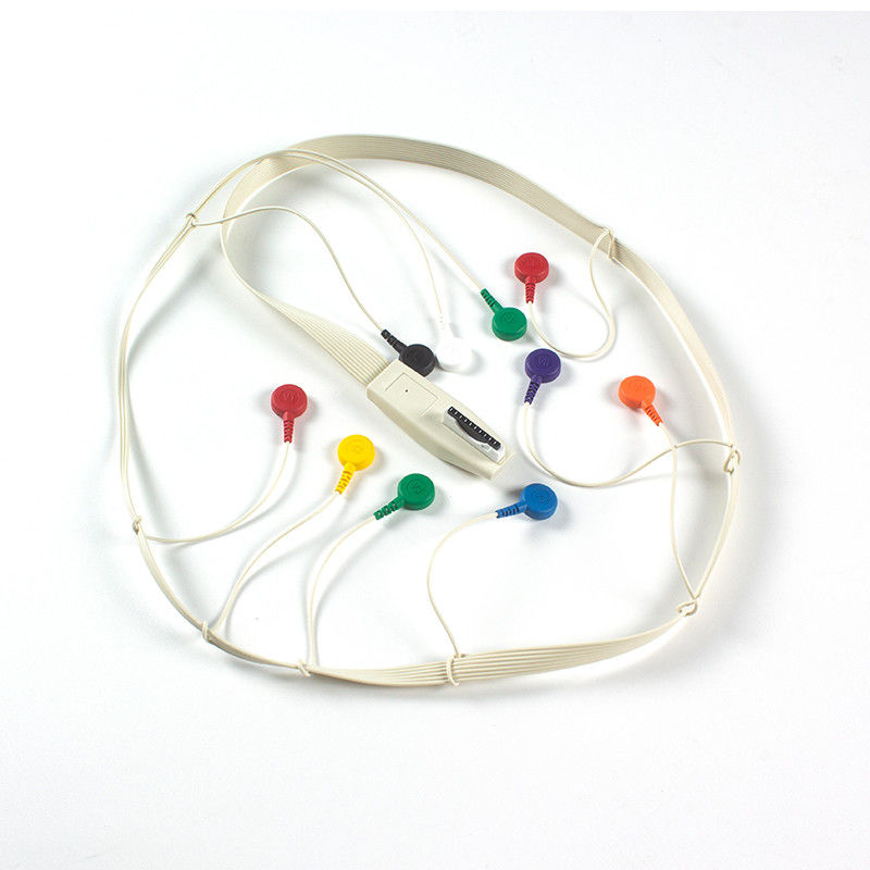 Compatible avec Mortara X12 + Holter ECG Cable Mortara ECG Holter Mortara Cable 10 coup de plomb