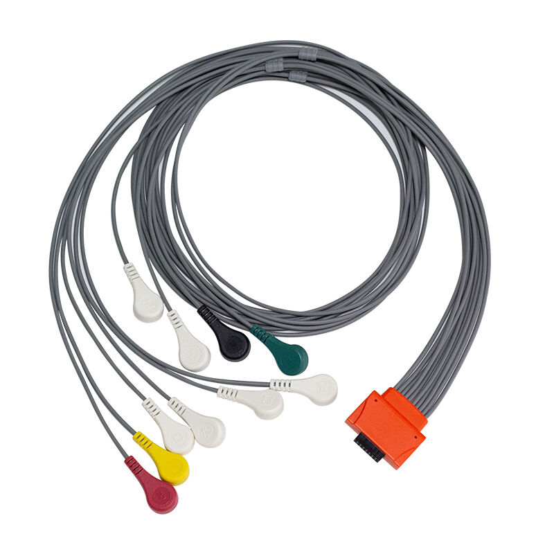 Compatible Cardioline Walk400h Clickholter NG 10 Matériau TPU au plomb IEC Couleur de codage ECG Holter câble