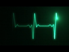 introduction de société